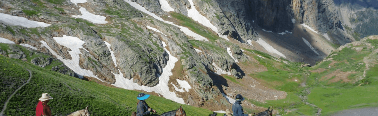National Forest Access
