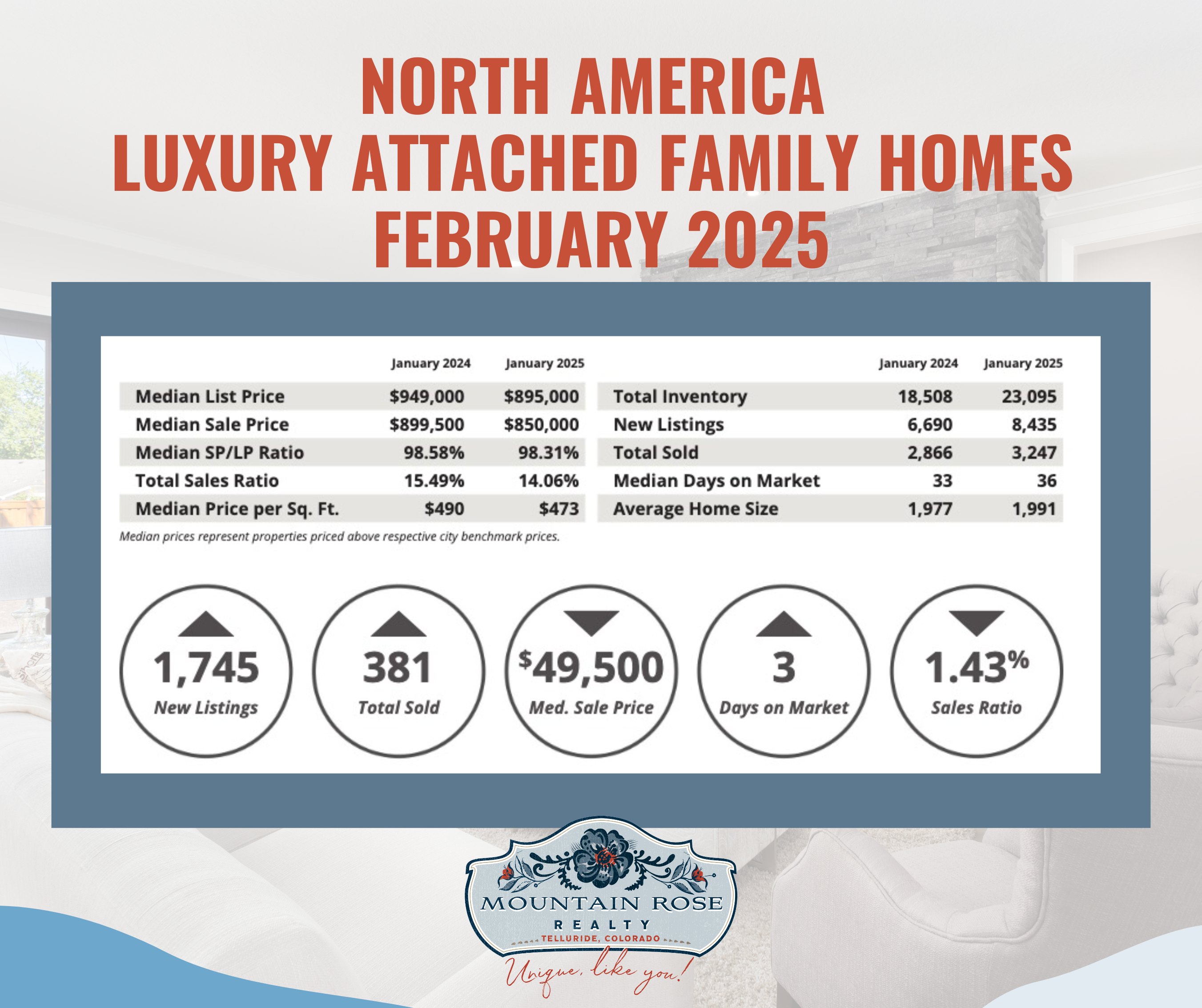 North America Luxury Market Report: February 2025 | Key Data & Insights — photo 1