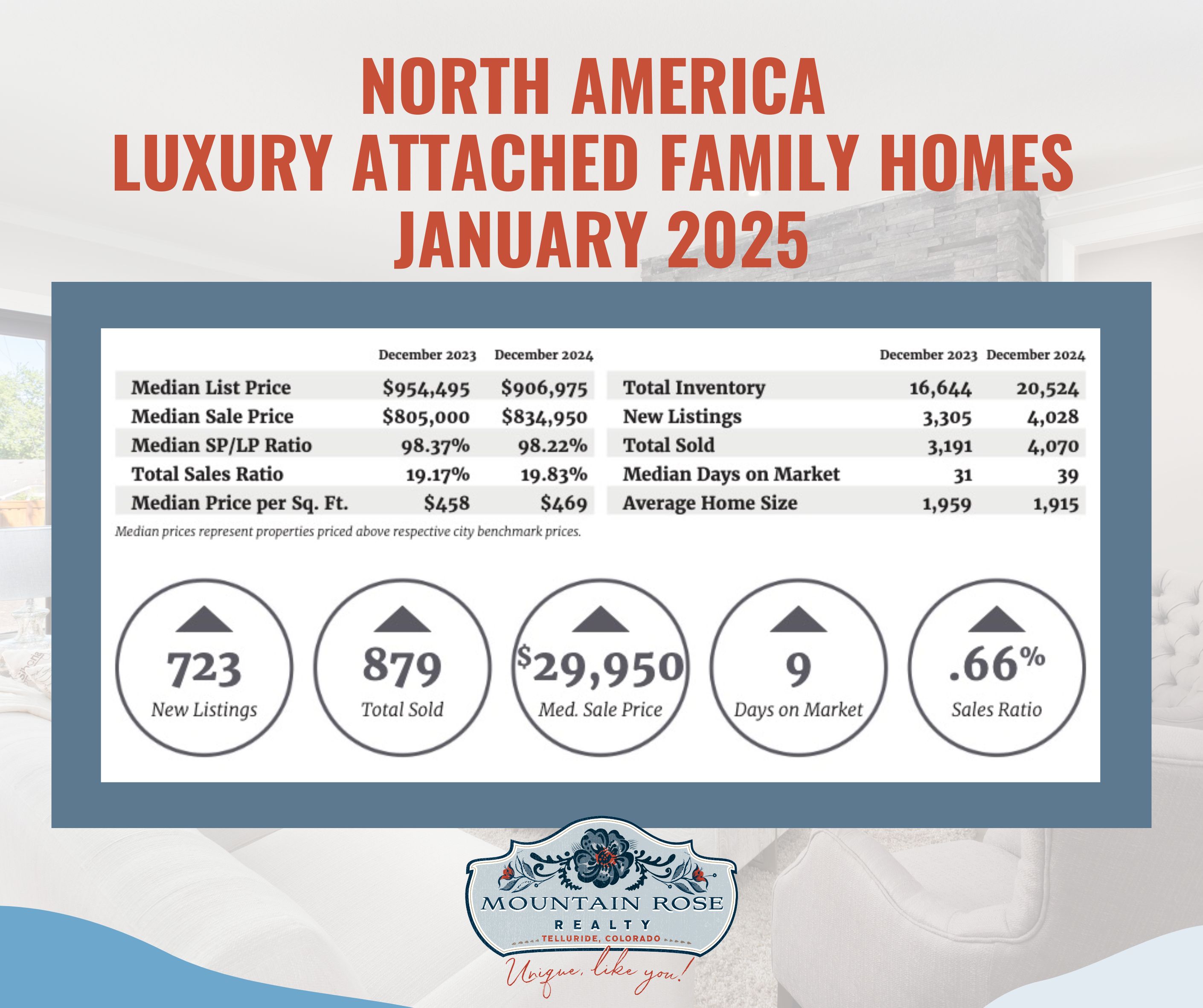 North America Luxury Market Report: January 2025 | Key Data & Insights — photo 1