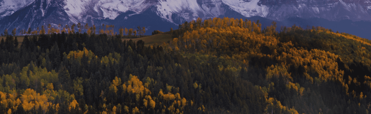 Trophy estate setting above Telluride, Colorado